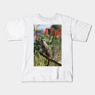 Meerkat Branch Office Kids T-Shirt